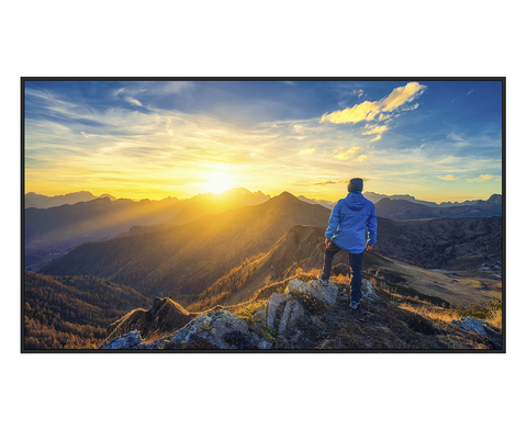 Sharp Electronics 43" 4K UHD Professional Display